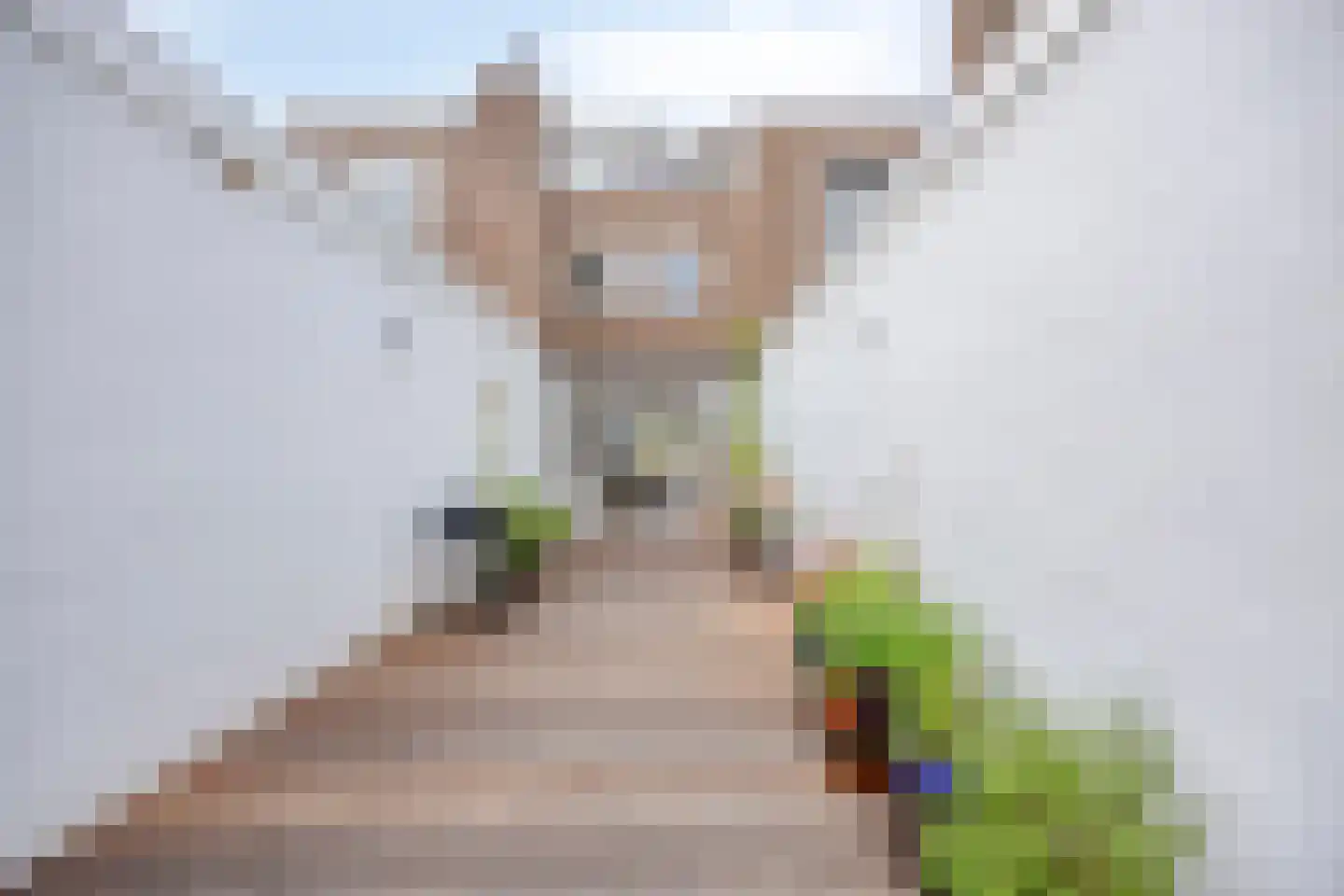 Citadellaan 51 's-Hertogenbosch thumbnail 18