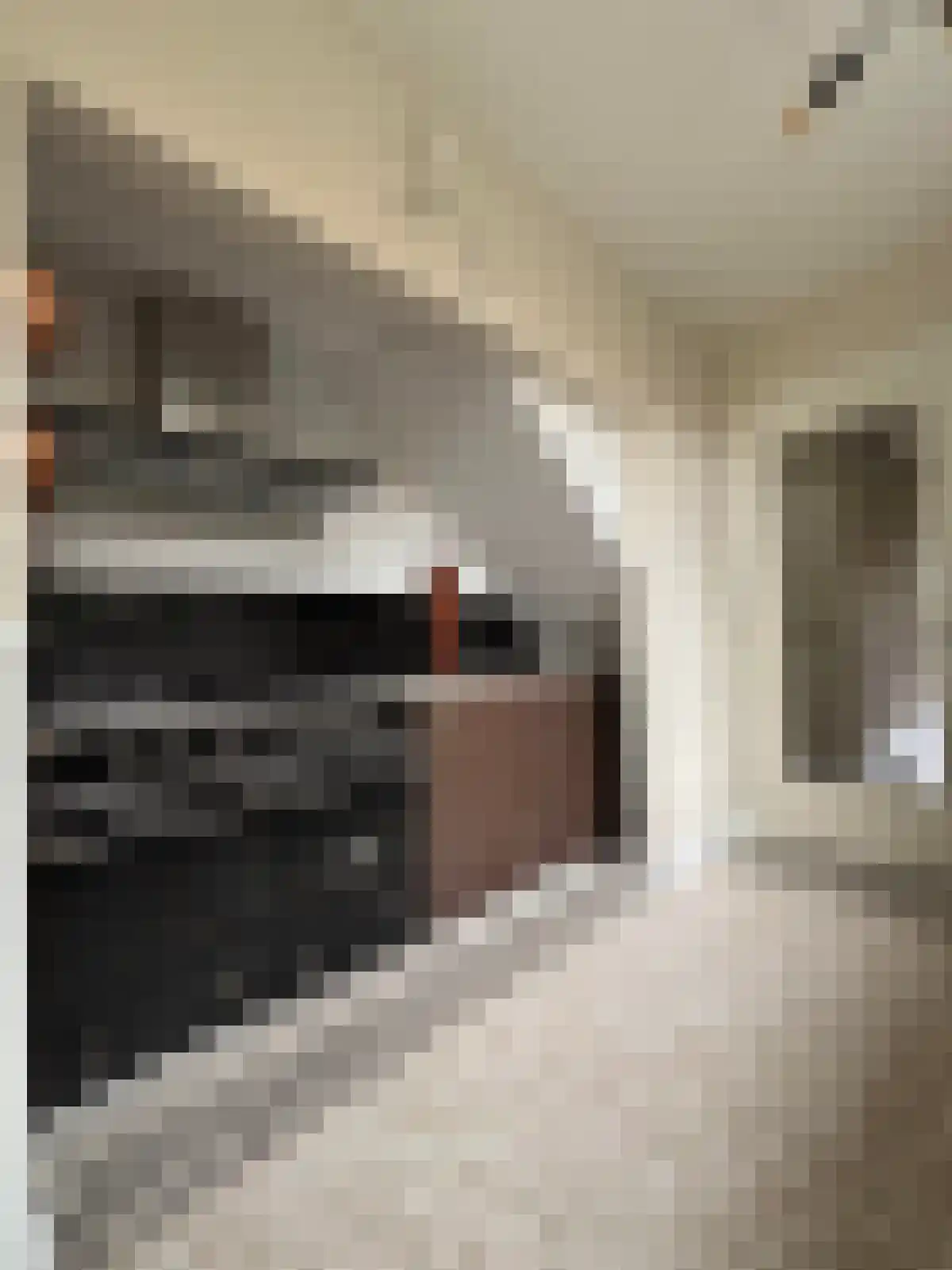Citadellaan 73 's-Hertogenbosch thumbnail 6