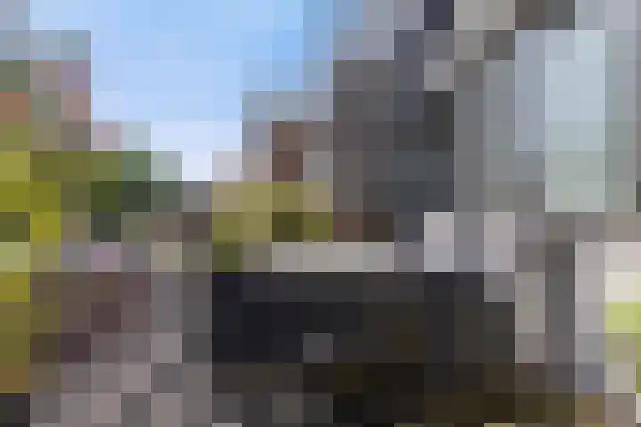 Citadellaan 77 A 's-Hertogenbosch thumbnail 14