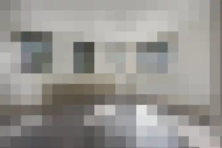 Citadellaan 77 A 's-Hertogenbosch thumbnail 4