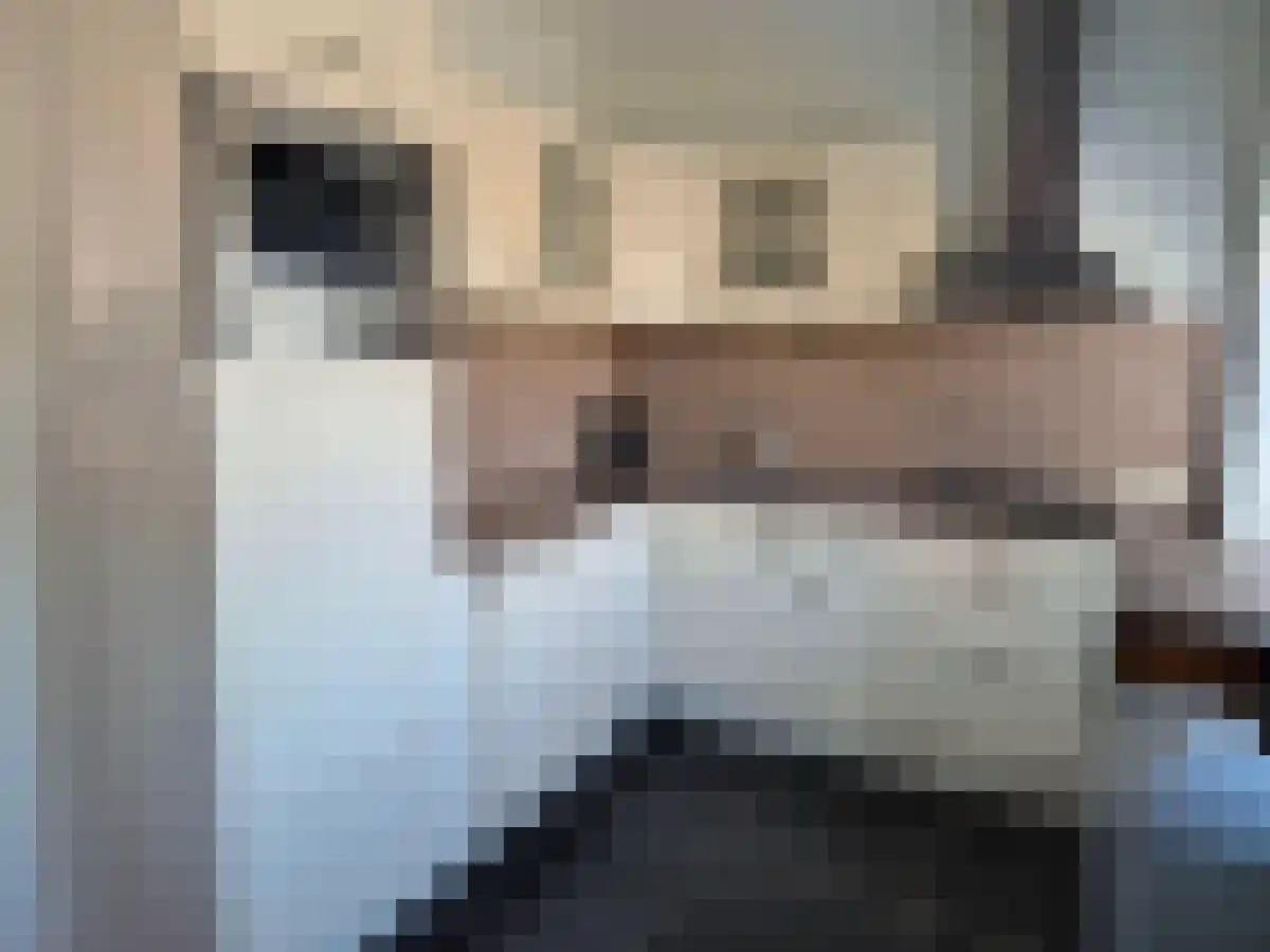 Citadellaan 95 's-Hertogenbosch thumbnail 4