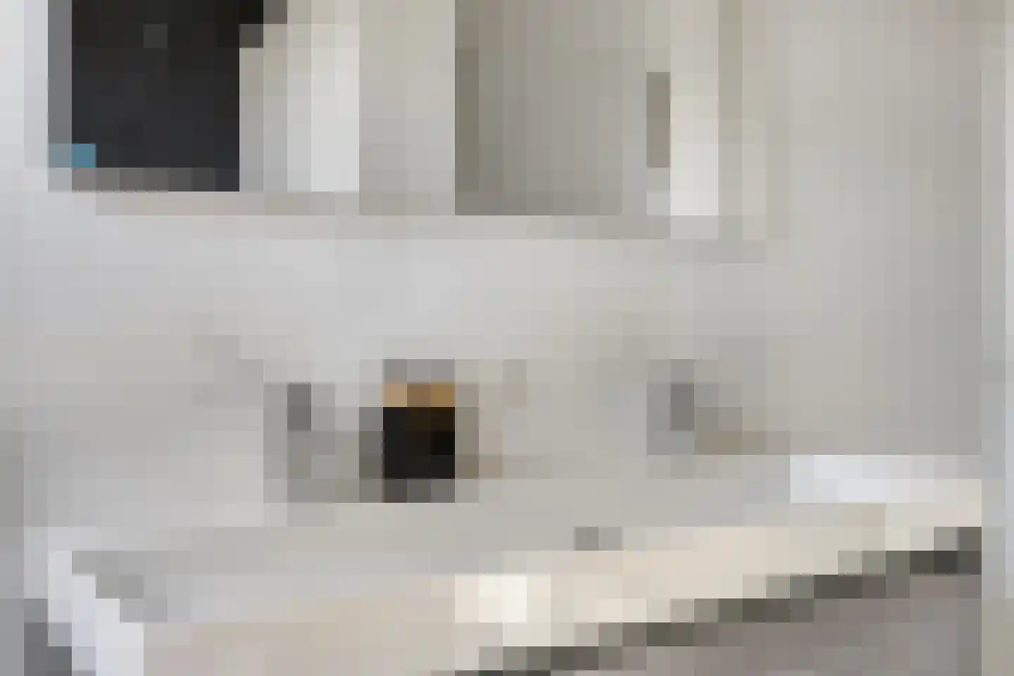 Citadelstraat 10 Zwolle thumbnail 25