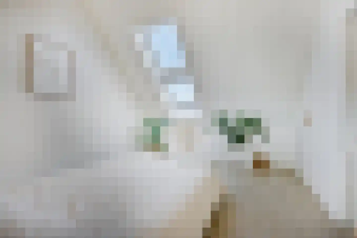 Citadelstraat 10 Zwolle thumbnail 31
