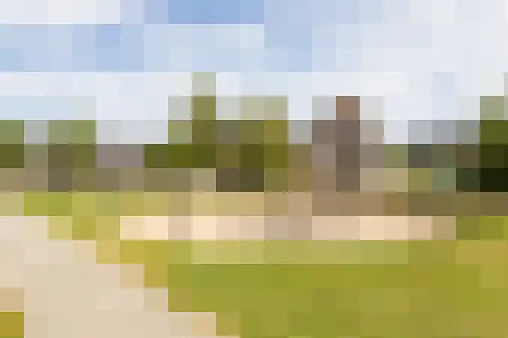 Citadelstraat 2 Zwolle thumbnail 35