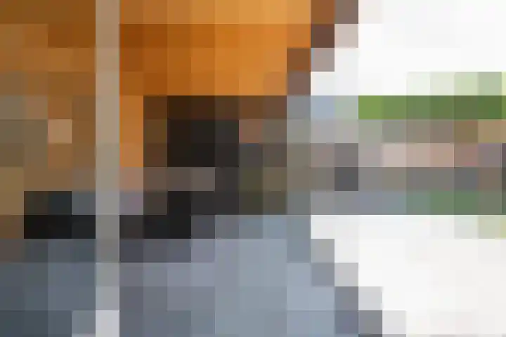 Citadelstraat 7 Alphen thumbnail 47