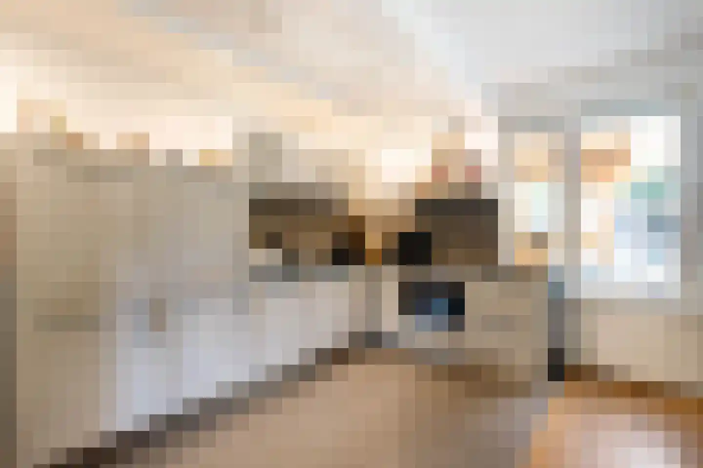 Citer 17 Rotterdam thumbnail 12