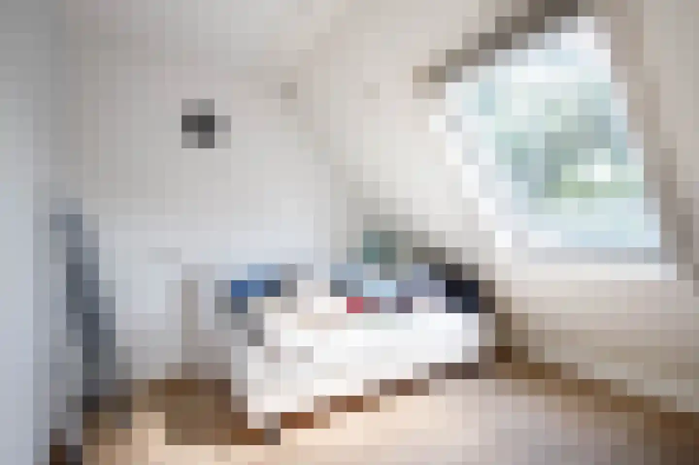 Citer 17 Rotterdam thumbnail 22