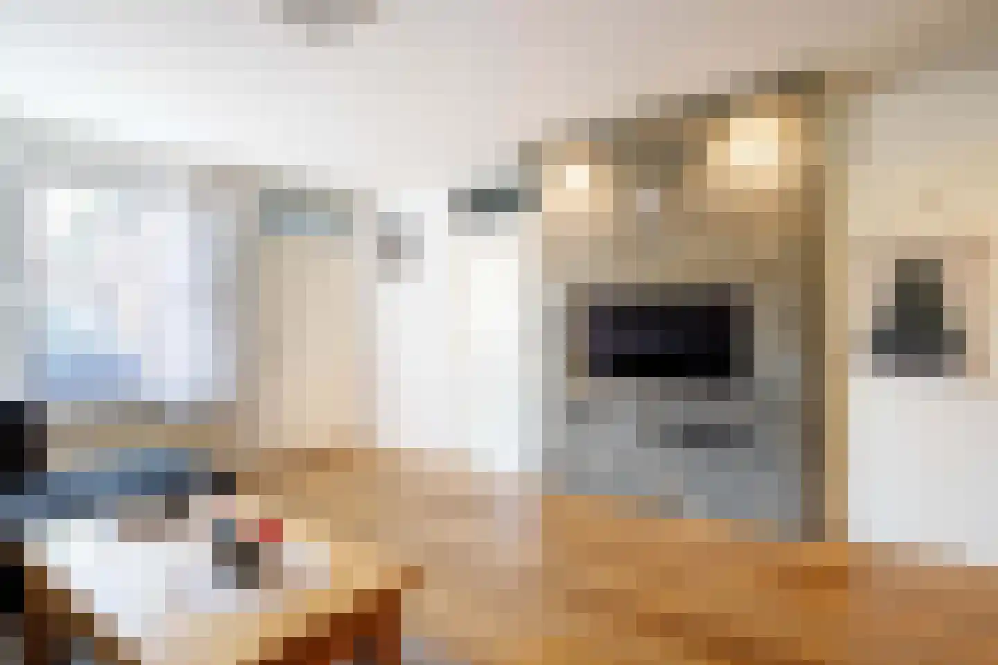 Citer 17 Rotterdam thumbnail 9