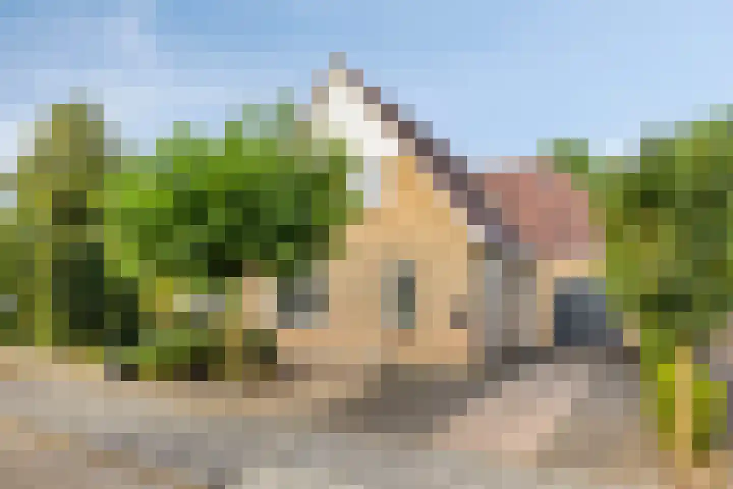 Citer 2 in Kampen