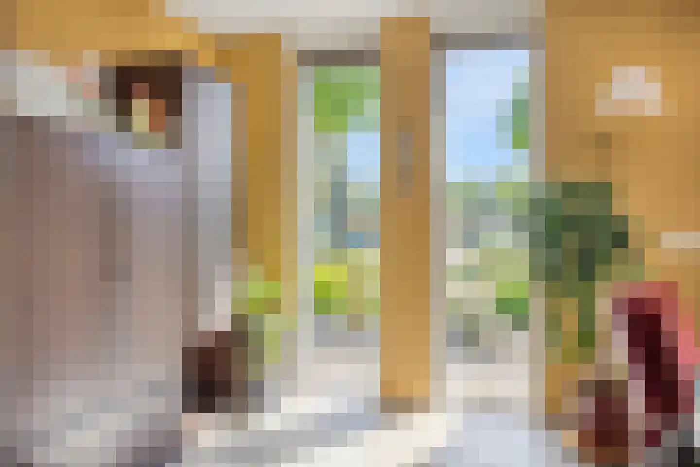 Citer 26 Kampen thumbnail 11