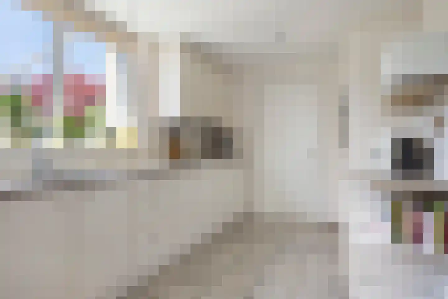 Citer 26 Kampen thumbnail 18