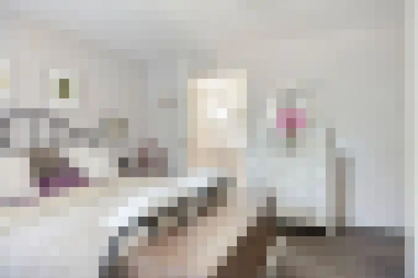 Citer 26 Kampen thumbnail 23