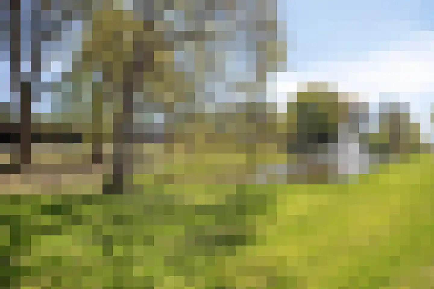 Citer 26 Kampen thumbnail 36