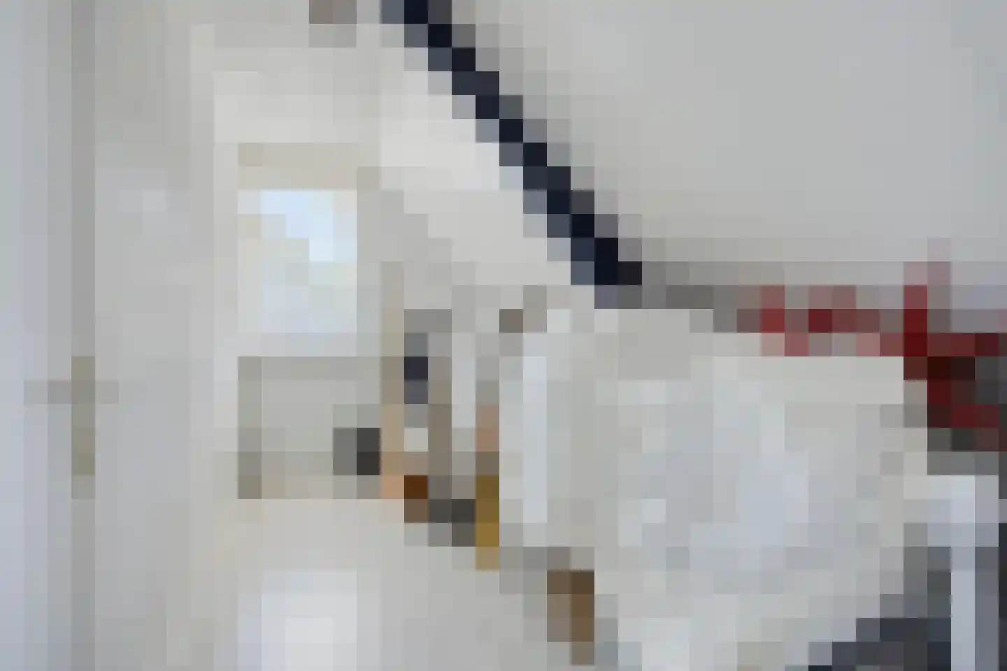 Citer 26 Kampen thumbnail 49