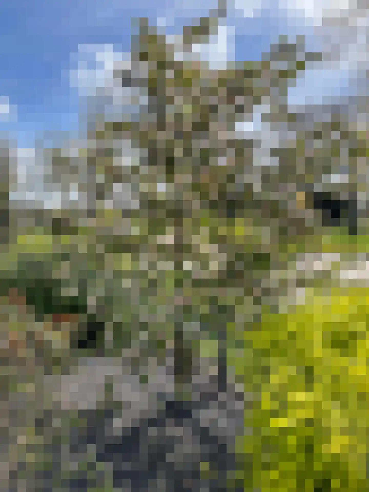 Citer 26 Kampen thumbnail 55