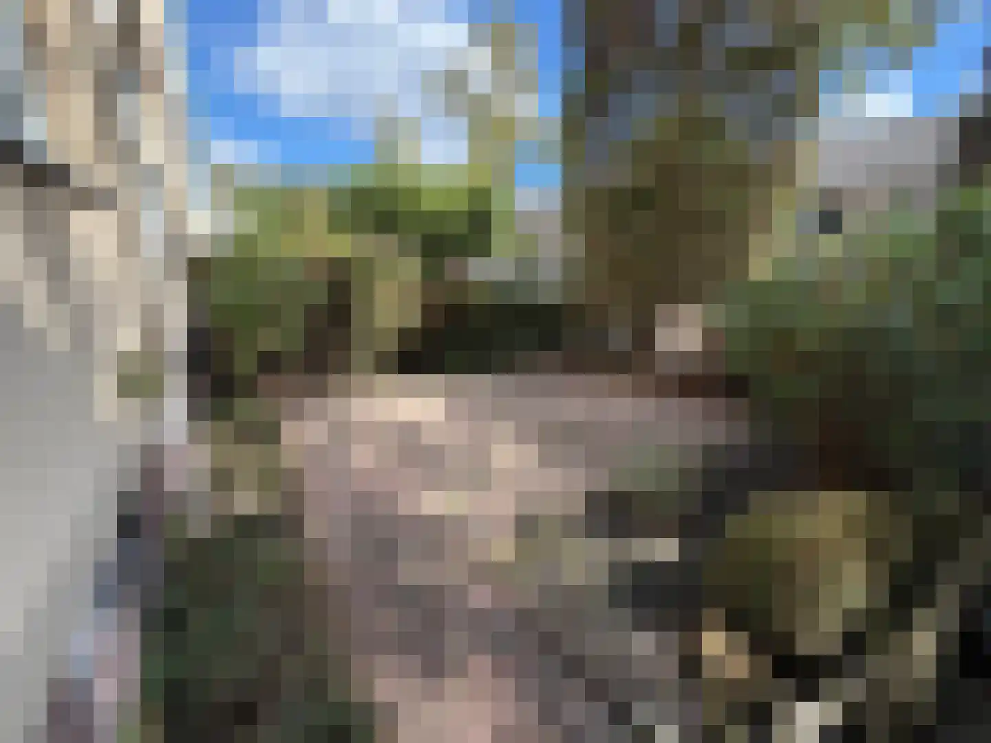 Citerstraat 42 Rijswijk thumbnail 5