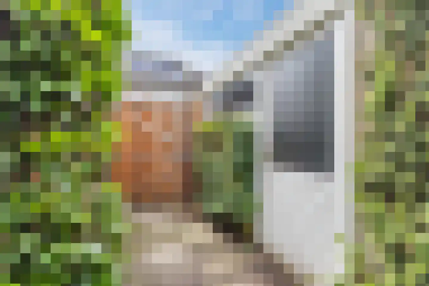 Citerstraat 5 Nijmegen thumbnail 44