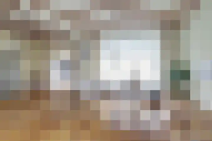 Cithershillsingel 17 Koudekerke thumbnail 11