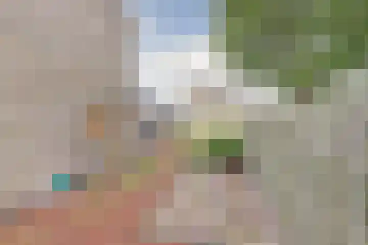 Cithershillsingel 17 Koudekerke thumbnail 30