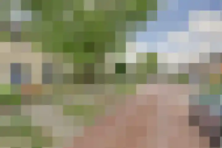 Cithershillsingel 17 Koudekerke thumbnail 6
