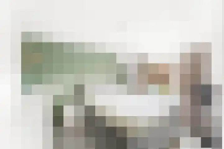 Cithershillsingel 20 Koudekerke thumbnail 12