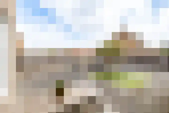 Cithershillsingel 20 Koudekerke thumbnail 19