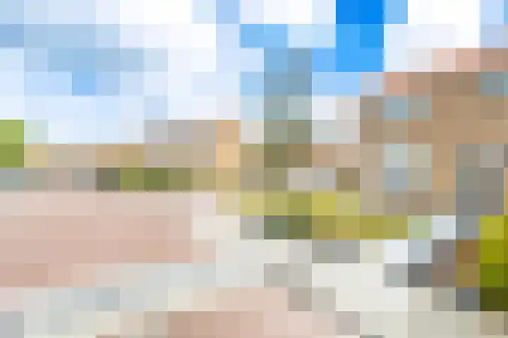 Cithershillsingel 20 Koudekerke thumbnail 4
