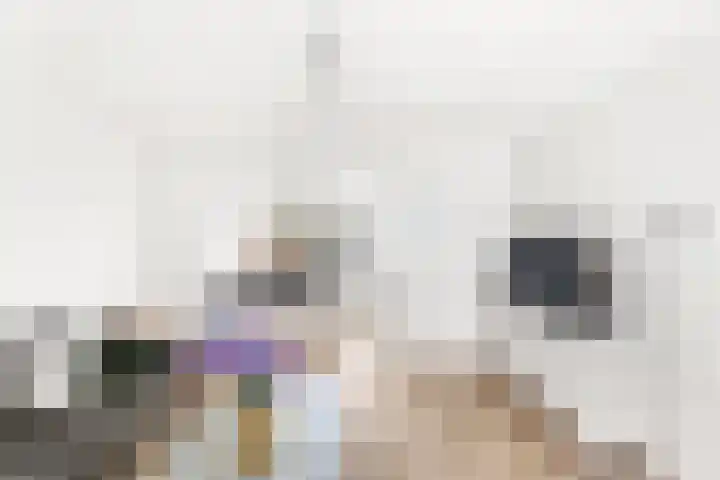 Cithershillsingel 20 Koudekerke thumbnail 6