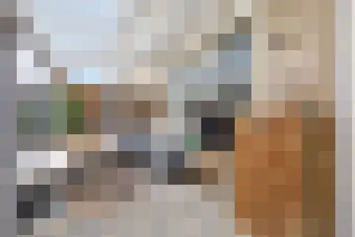 Cithershillsingel 25 Koudekerke thumbnail 10