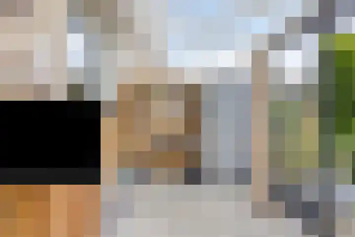 Cithershillsingel 25 Koudekerke thumbnail 11