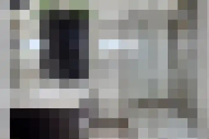 Cithershillsingel 25 Koudekerke thumbnail 16