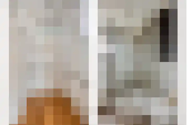 Cithershillsingel 25 Koudekerke thumbnail 17