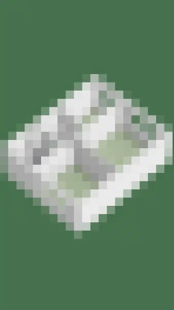 Cithershillsingel 25 Koudekerke thumbnail 32