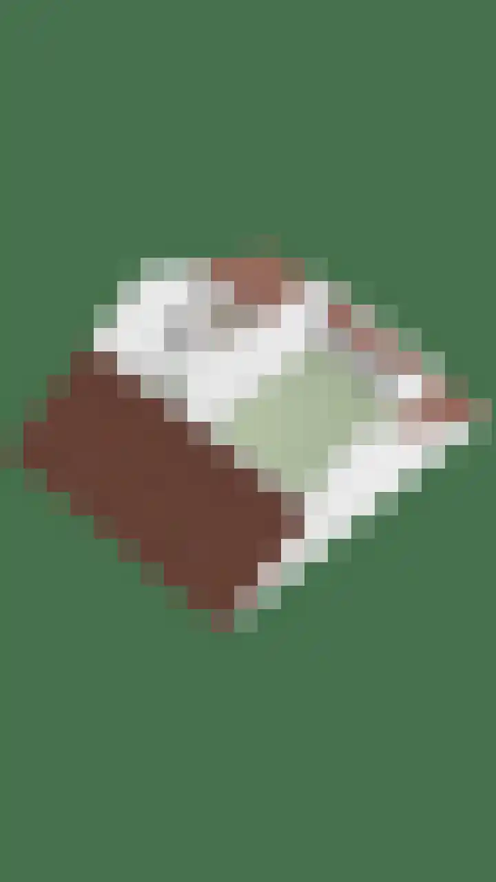 Cithershillsingel 25 Koudekerke thumbnail 33