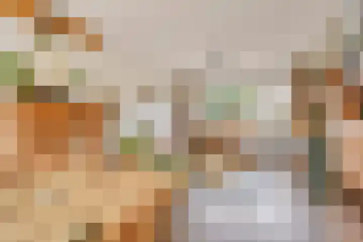 Cithershillsingel 25 Koudekerke thumbnail 7
