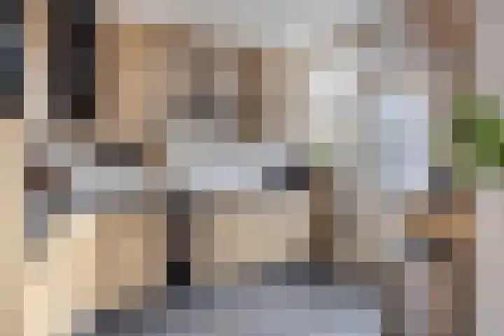 Cithershillsingel 25 Koudekerke thumbnail 8