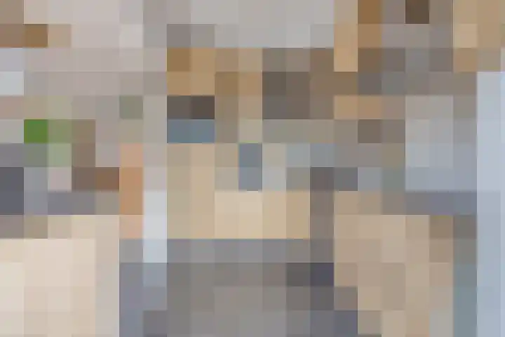 Cithershillsingel 25 Koudekerke thumbnail 9