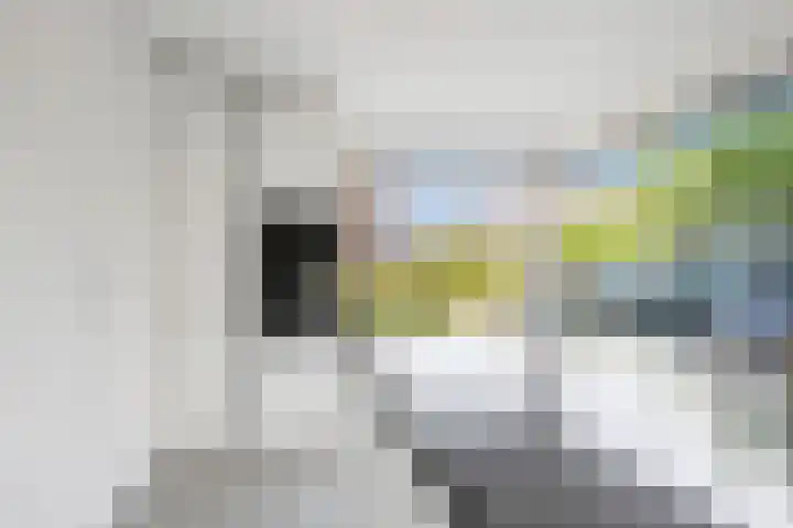 Citius 11 Hoofddorp thumbnail 10