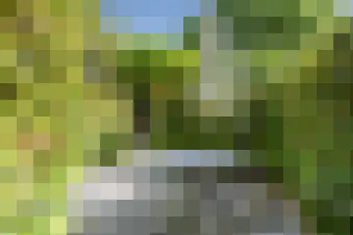 Citius 11 Hoofddorp thumbnail 13