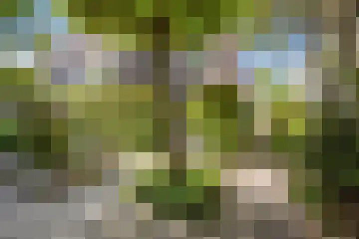 Citius 11 Hoofddorp thumbnail 17