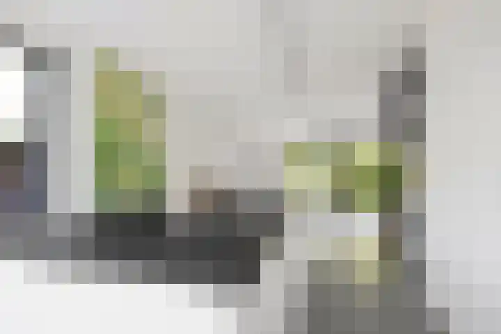 Citius 11 Hoofddorp thumbnail 23