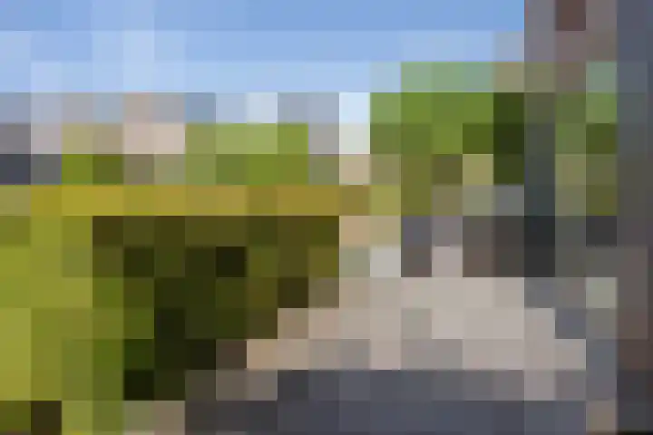 Citius 11 Hoofddorp thumbnail 46
