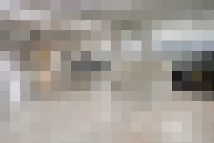 Citroenberg 177 Roosendaal thumbnail 27
