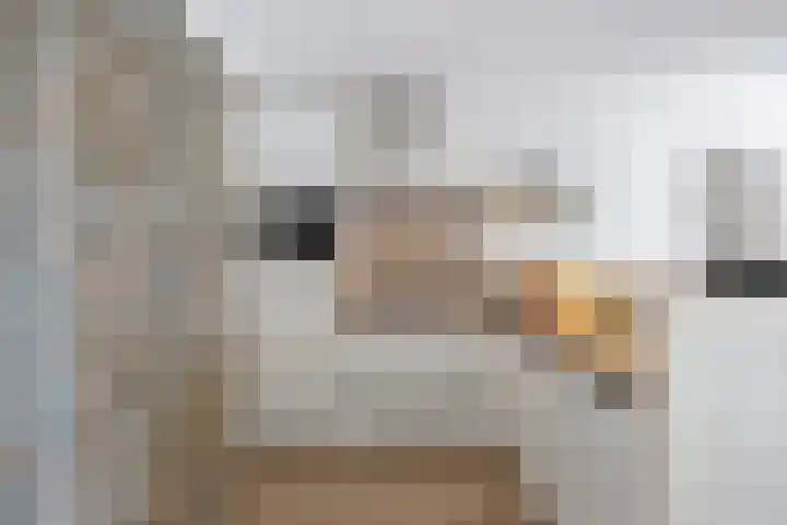 Citroenberg 187 Roosendaal thumbnail 22