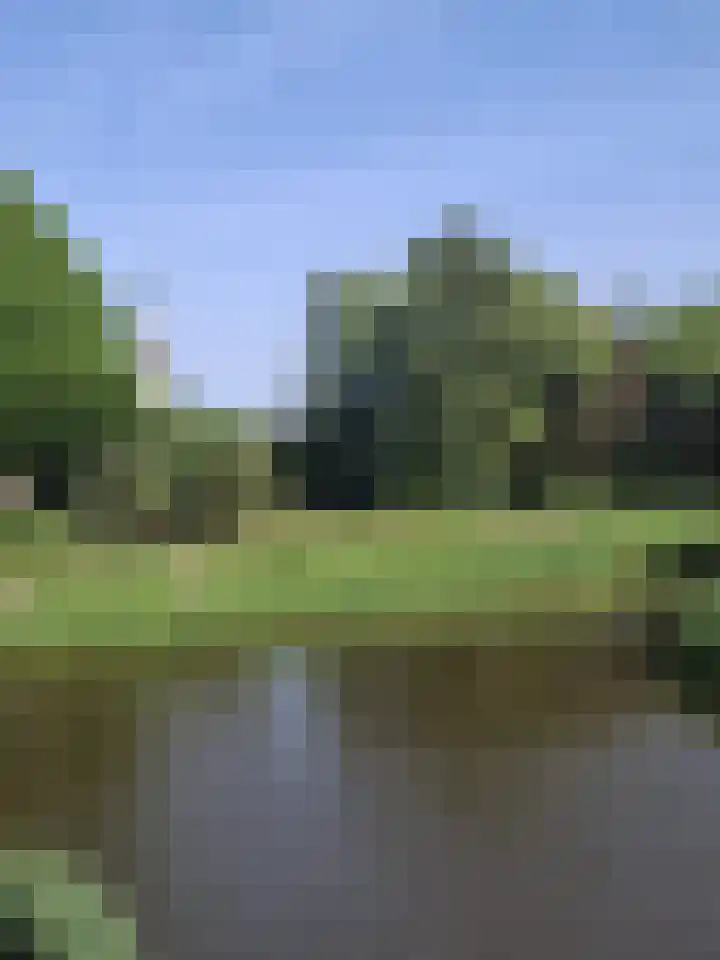 Citroenberg 187 Roosendaal thumbnail 39