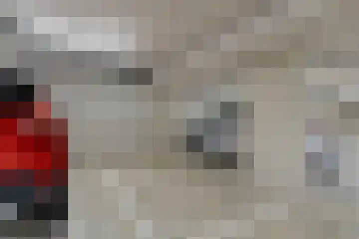 Citroenberg 245 Roosendaal thumbnail 19