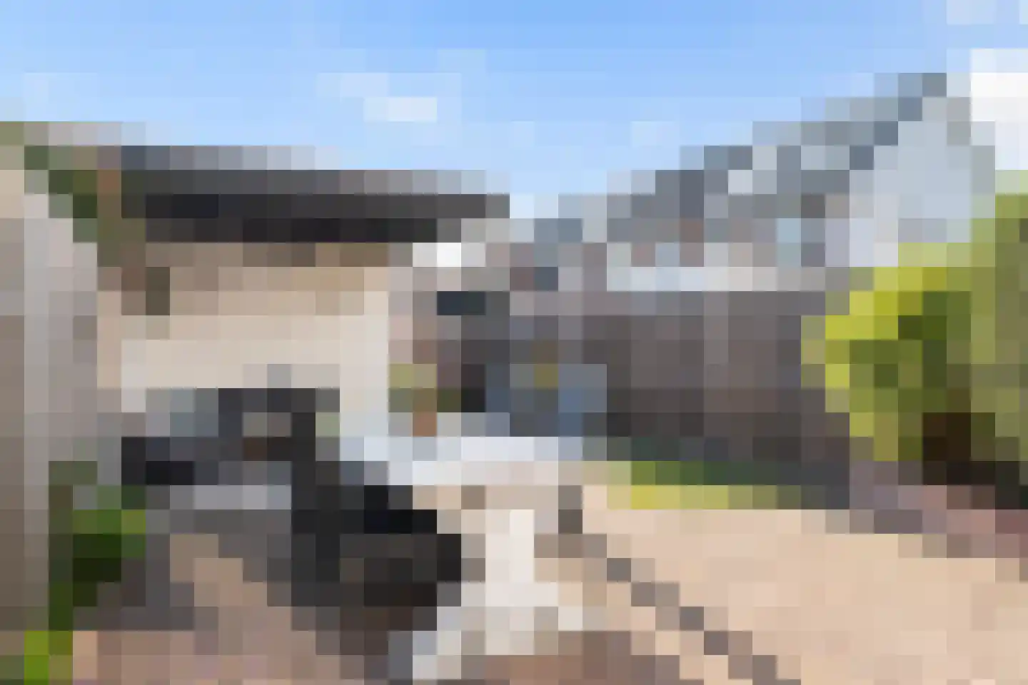 Citroengaarde 10 Hendrik-Ido-Ambacht thumbnail 17