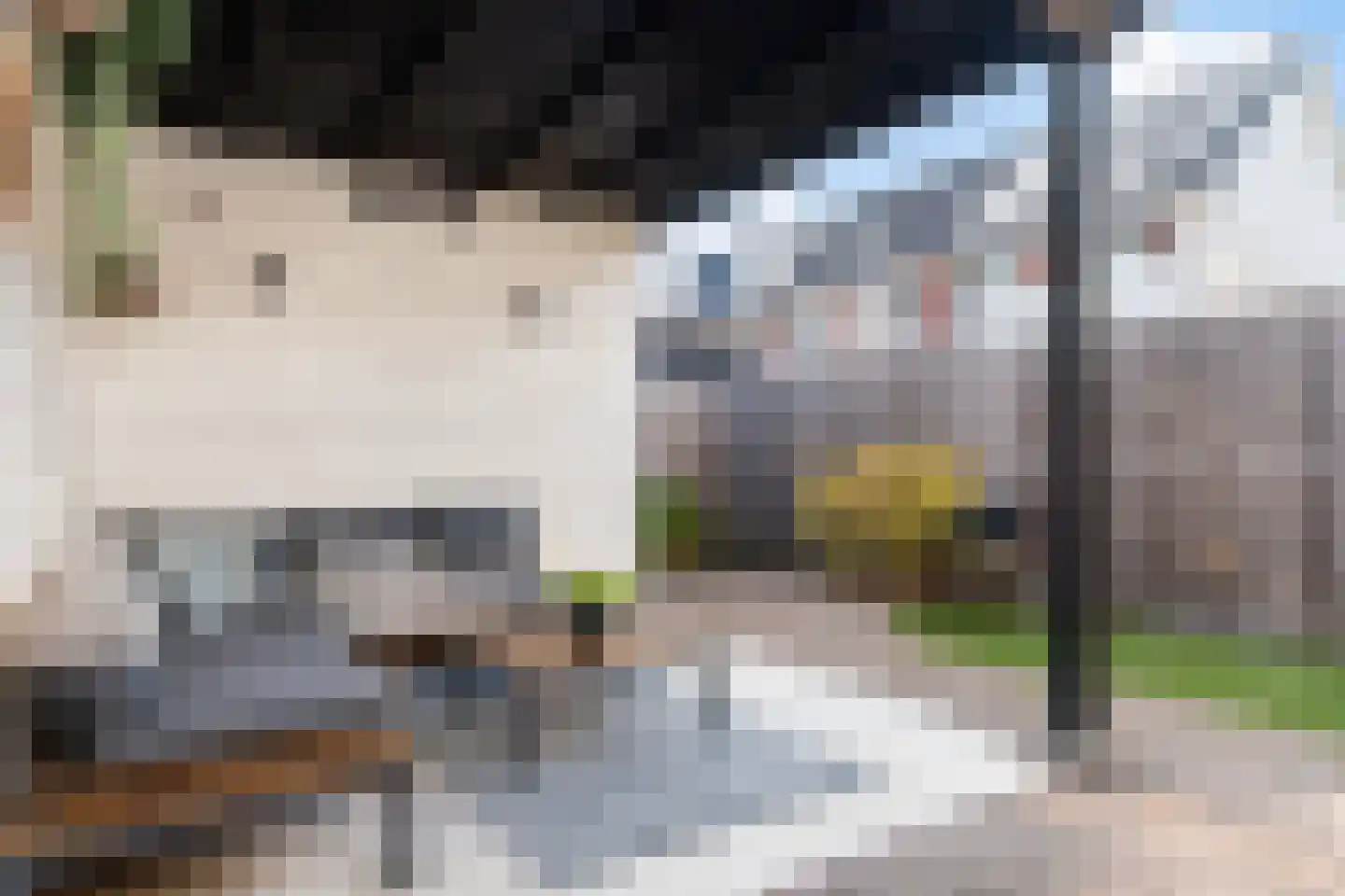 Citroengaarde 10 Hendrik-Ido-Ambacht thumbnail 19