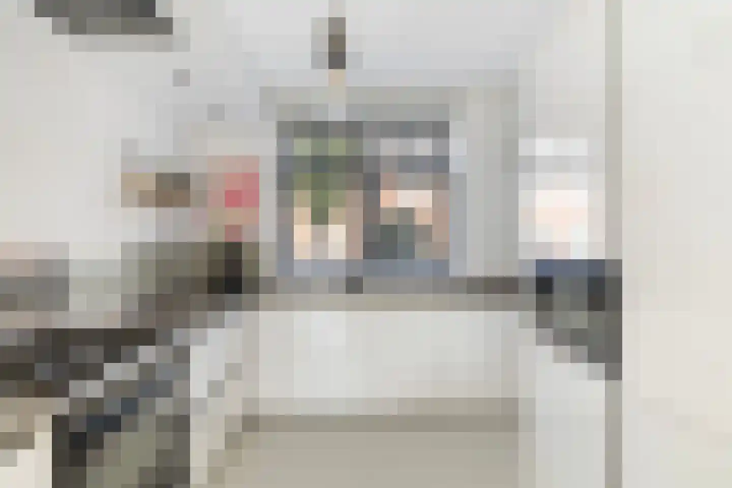 Citroengaarde 10 Hendrik-Ido-Ambacht thumbnail 25
