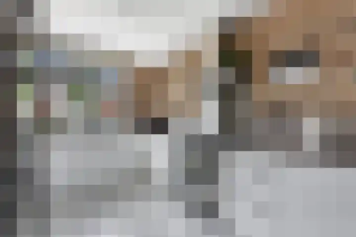 Citroengaarde 11 Hendrik-Ido-Ambacht thumbnail 14